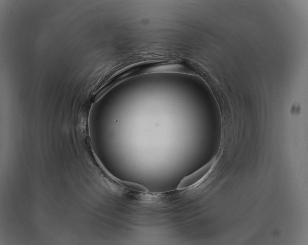 X0000090750192200708031616