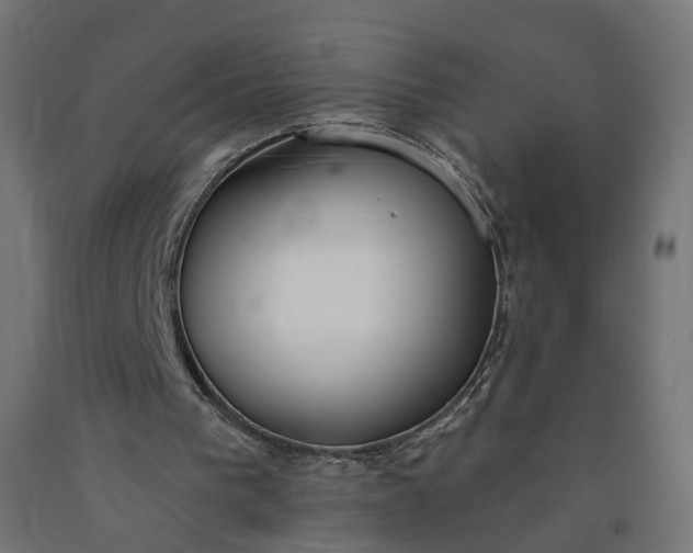 X0000090750193200708031615