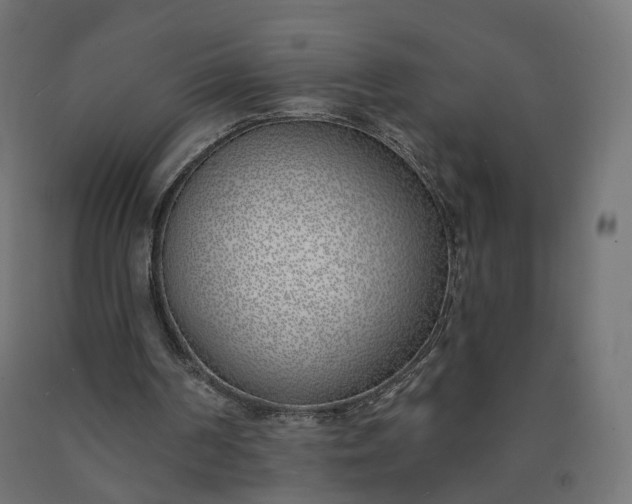 X0000090750194200708031615