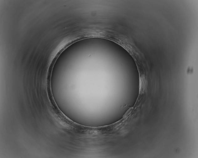 X0000090750195200708031615