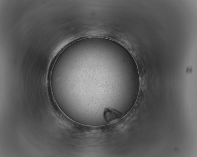 X0000090750196200708031615