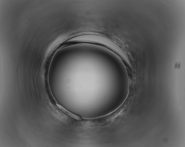 X0000090750197200708031615