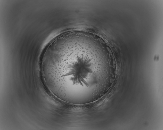 X0000090750198200708031615