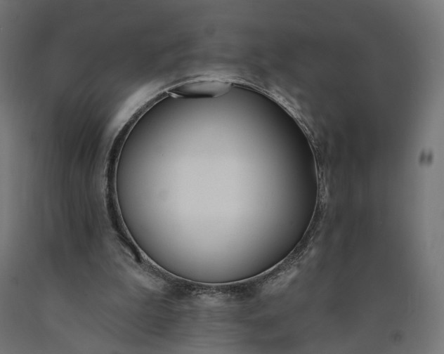 X0000090750199200708031615