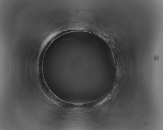 X0000090750200200708031615