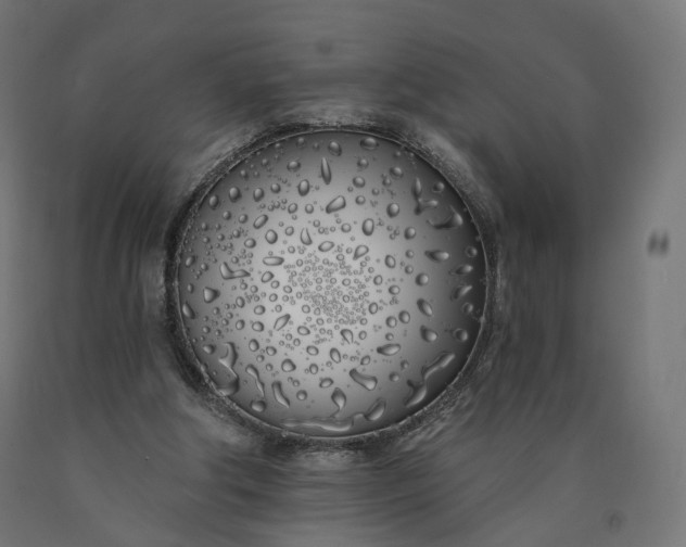 X0000090750202200708031615