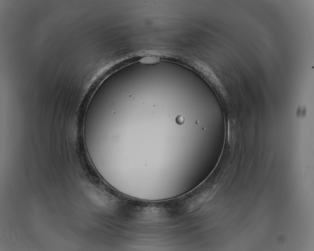 X0000090750204200708031615