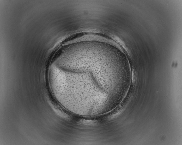 X0000090750205200708031615