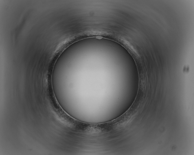 X0000090750207200708031615