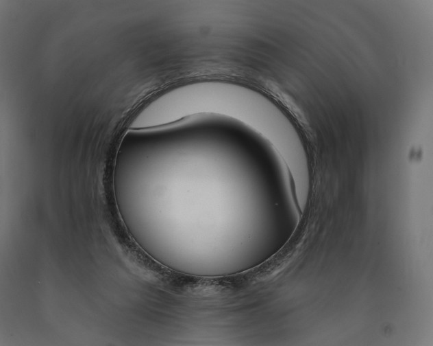 X0000090750209200708031615