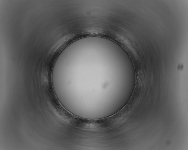 X0000090750212200708031615