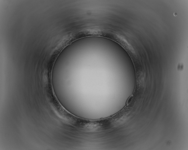 X0000090750213200708031615