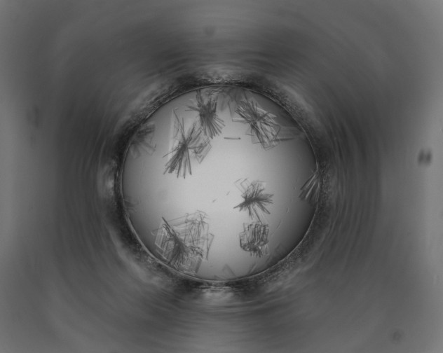 X0000090750214200708031615