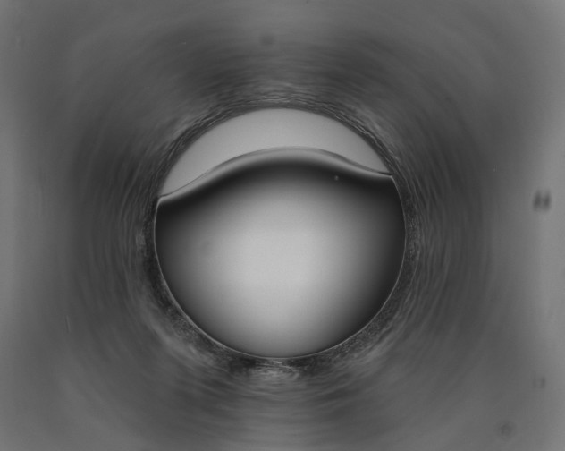 X0000090750215200708031615