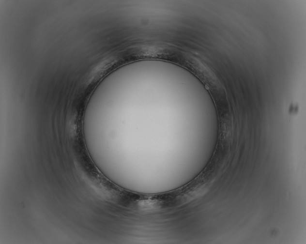 X0000090750216200708031615