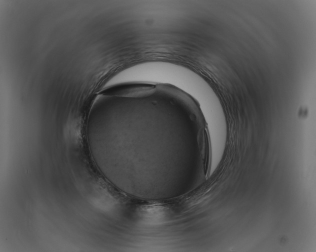 X0000090750219200708031615