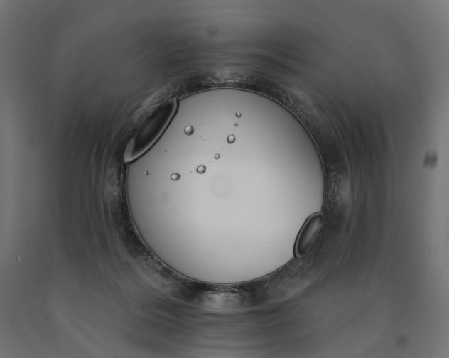 X0000090750220200708031615