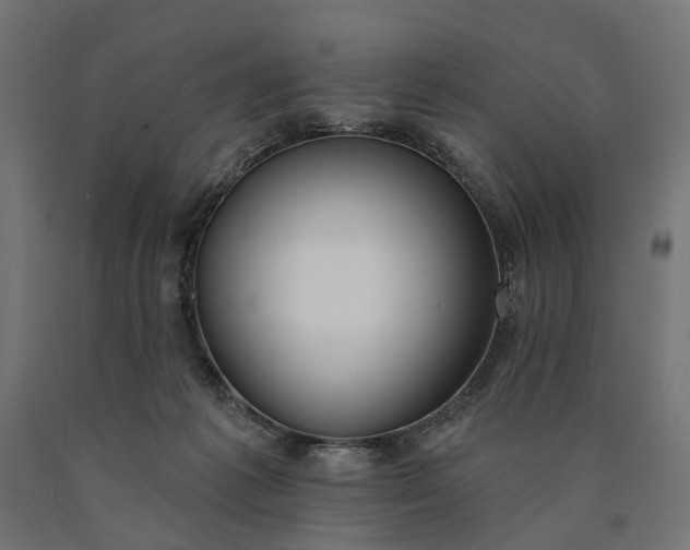 X0000090750221200708031615