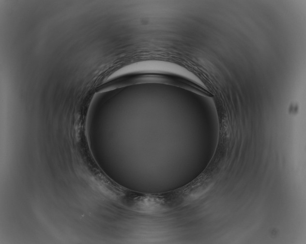 X0000090750223200708031615