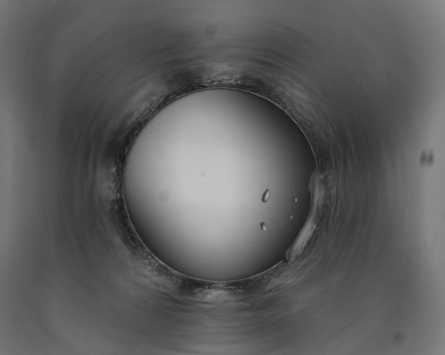 X0000090750224200708031615