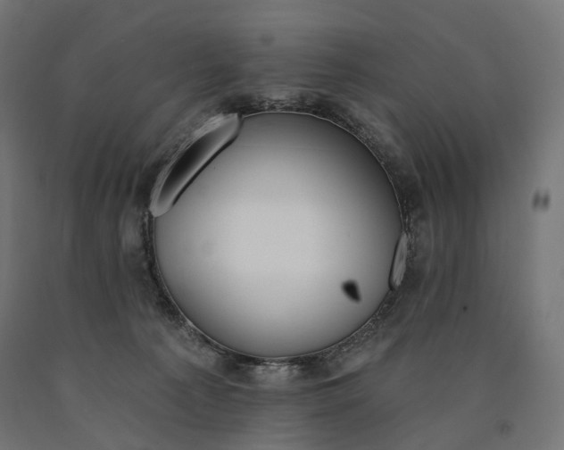 X0000090750225200708031615