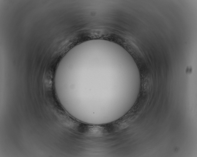 X0000090750226200708031615