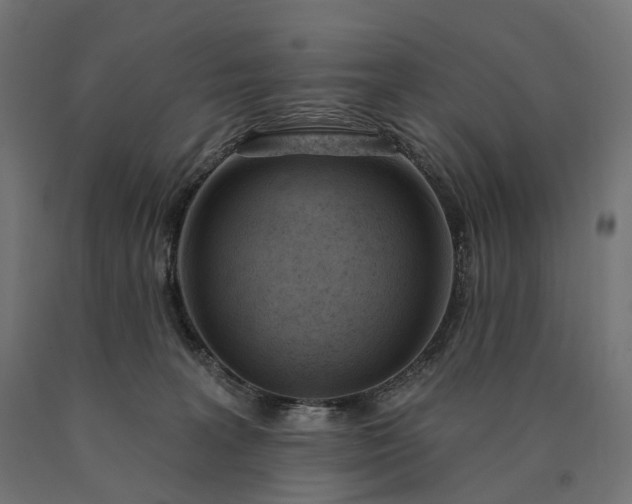 X0000090750227200708031615