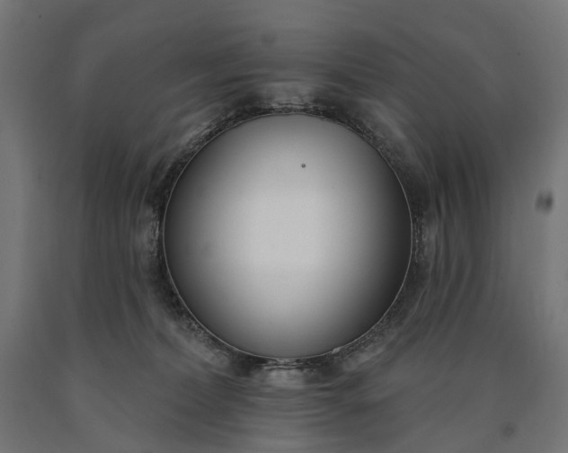 X0000090750228200708031615