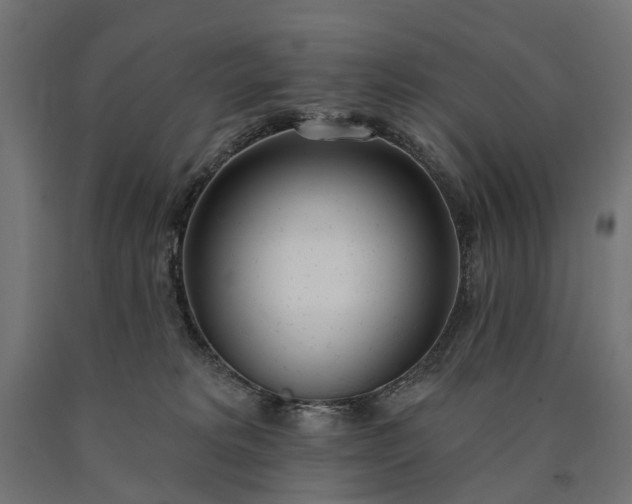 X0000090750229200708031615