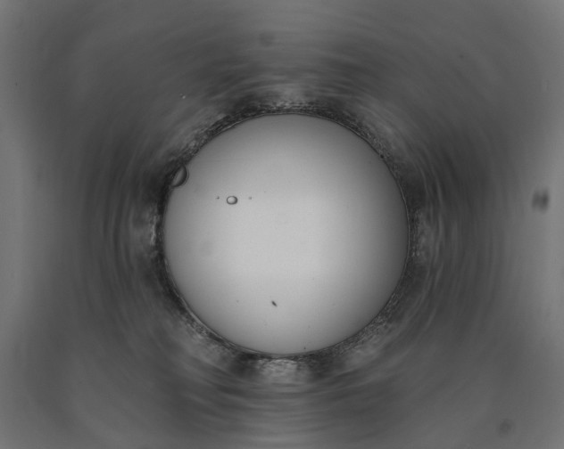 X0000090750230200708031615