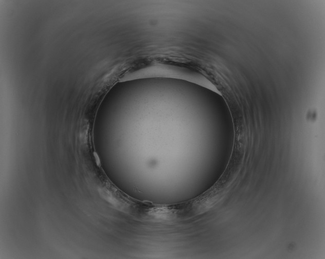 X0000090750231200708031615