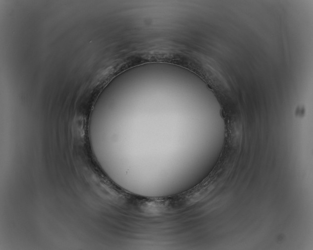 X0000090750232200708031615