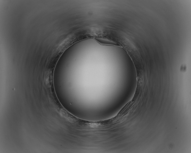 X0000090750233200708031615