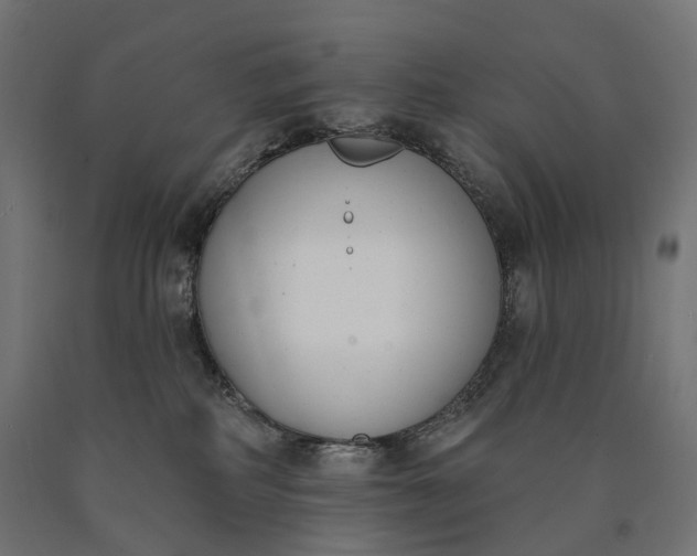 X0000090750234200708031615