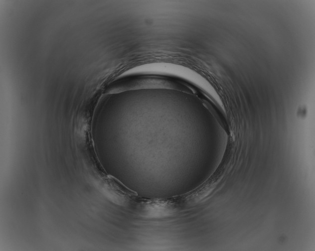 X0000090750235200708031615