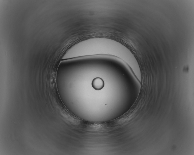 X0000090750237200708031615