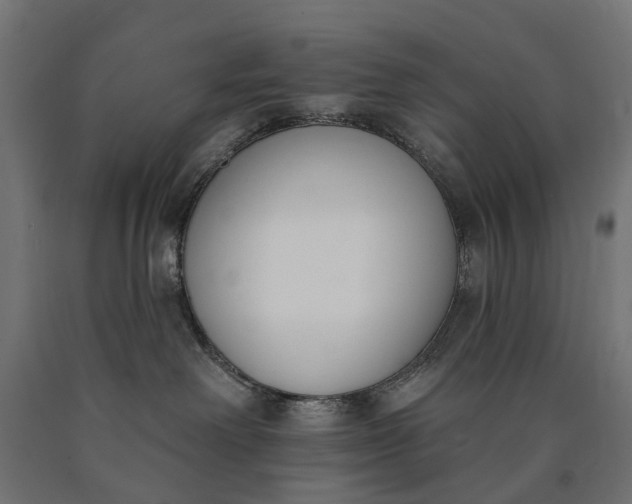 X0000090750238200708031615