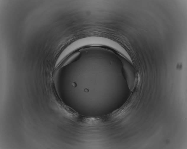 X0000090750239200708031615