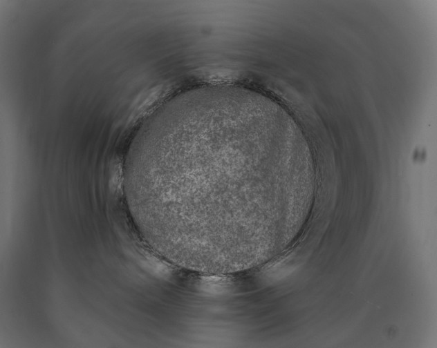 X0000090750240200708031615