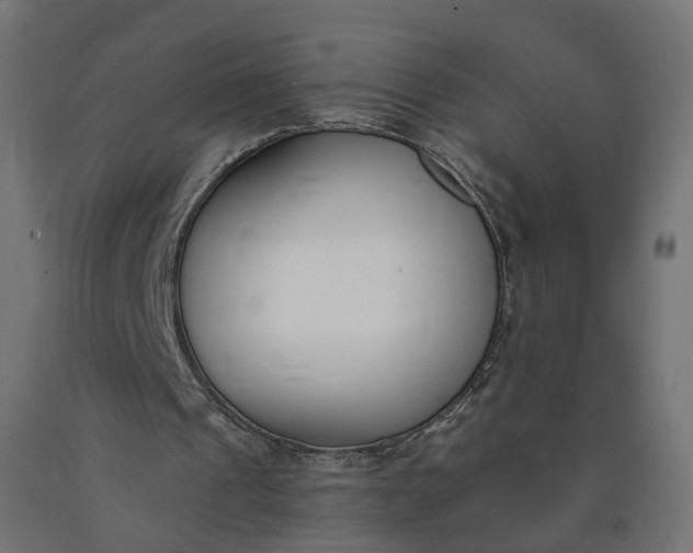 X0000090750241200708031614