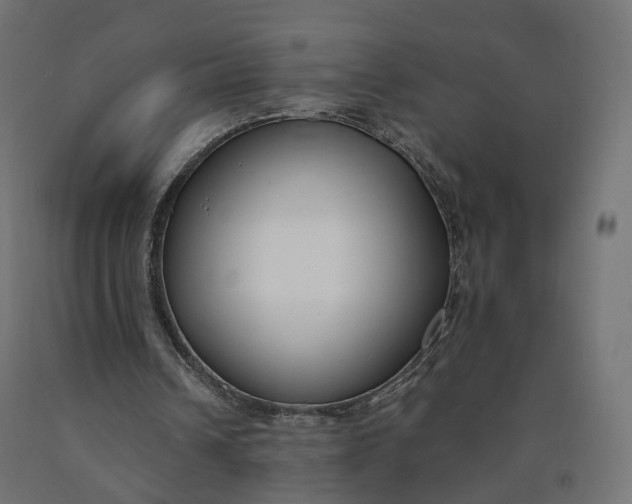 X0000090750242200708031614