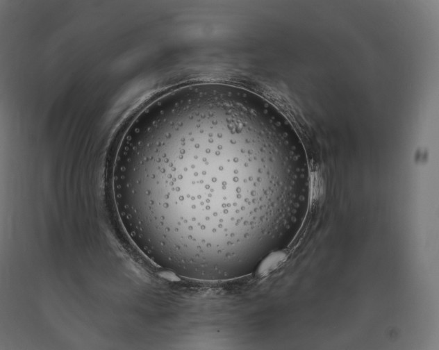 X0000090750243200708031614