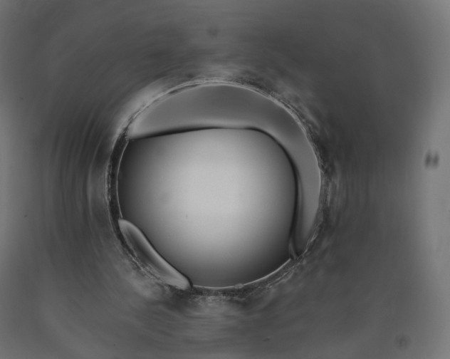 X0000090750244200708031614