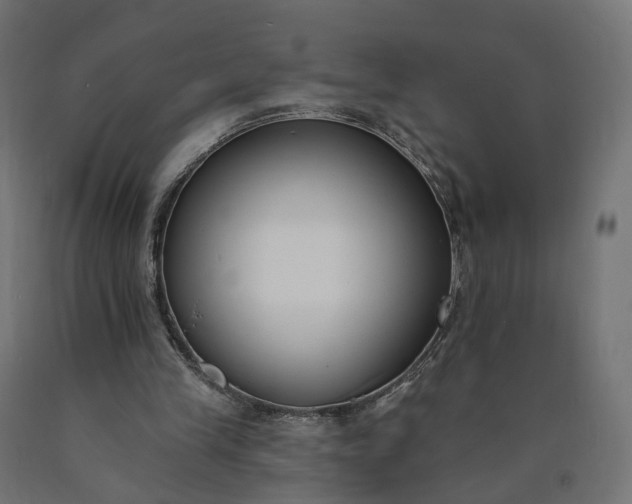 X0000090750245200708031614