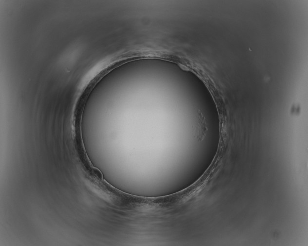 X0000090750246200708031614