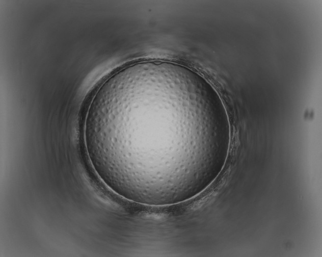 X0000090750247200708031614