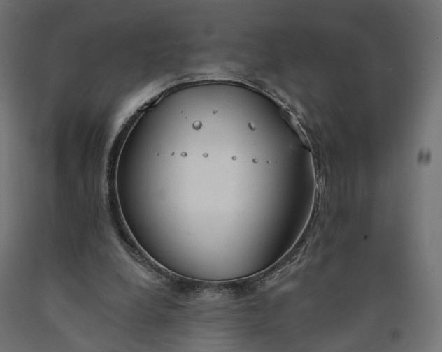 X0000090750248200708031614