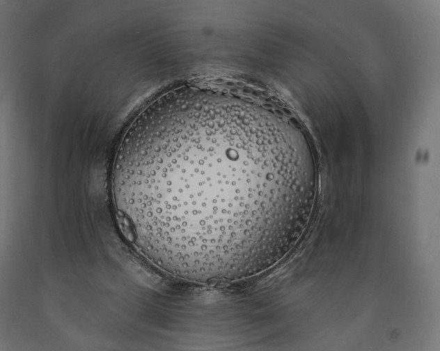 X0000090750249200708031614