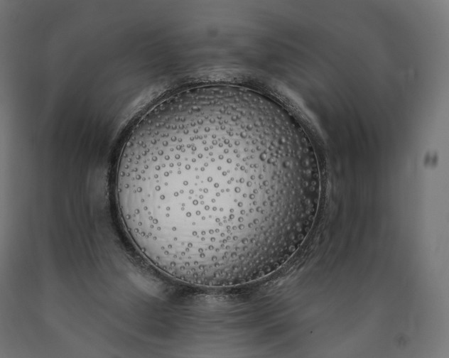 X0000090750250200708031614