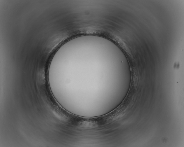 X0000090750251200708031614